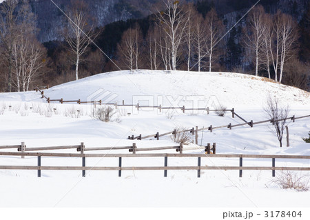 冬の開田高原 3178404