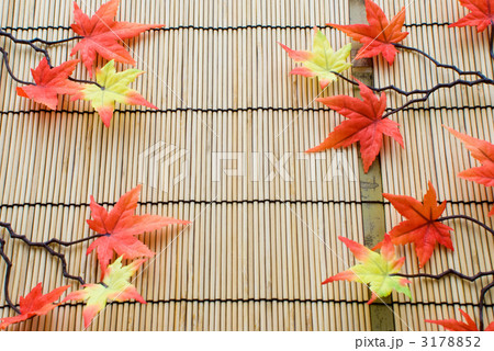秋フレーム 3178852
