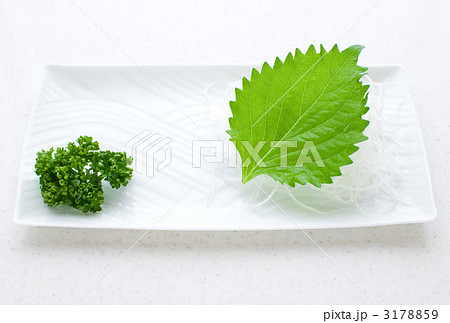 お刺身をのせてください お刺身をのせてください 3178859