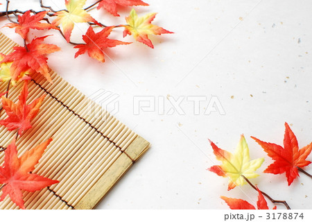 秋フレーム 3178874