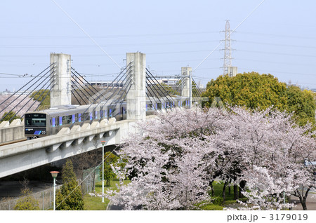 桜とあおなみ 桜とあおなみ 3179019