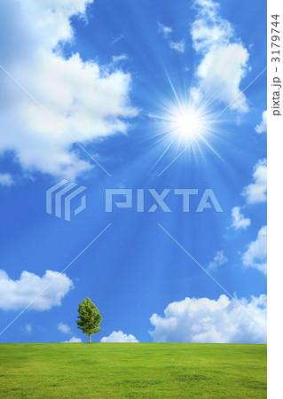 草原と青空 3179744