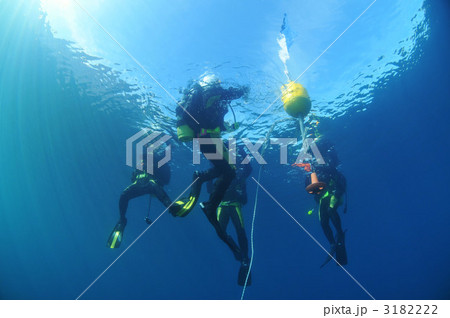 水中捜索 水中捜索 3182222