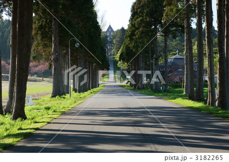 トラピスト修道院 3182265