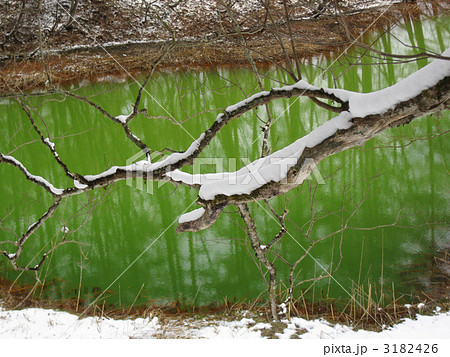赤沼(五色沼) 赤沼(五色沼) 3182426