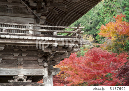 大矢田神社　楼門 3187692