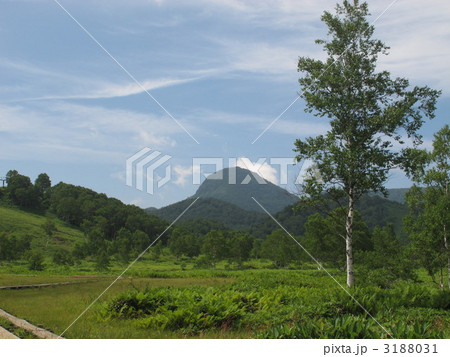 志賀高原田の原湿原 3188031