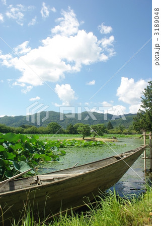 夏の大沢池 夏の大沢池 3189048