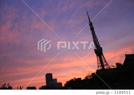 東京タワー×夕焼け 3189551