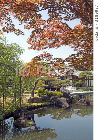 好古園 御屋敷の庭 好古園 御屋敷の庭 3189927