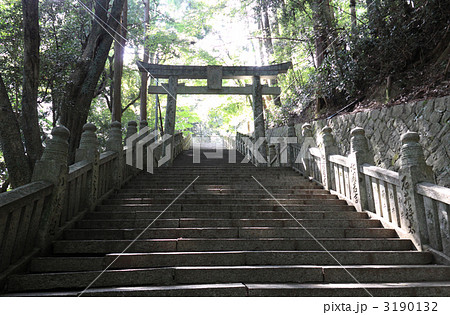 四国別格霊場第15番、金毘羅奥の院「箸蔵寺、参道」 3190132