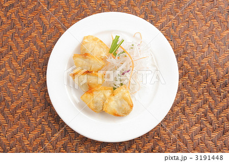 揚げワンタン 3191448