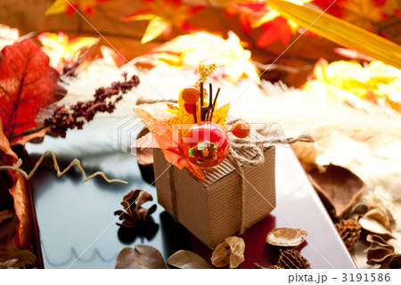 秋のギフト 秋のギフト 3191586