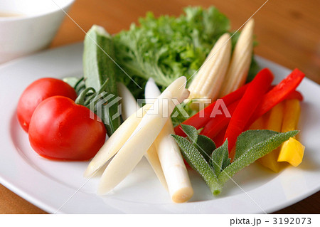 野菜スティック 3192073
