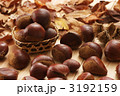 落ち葉と栗 3192159