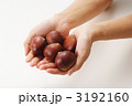 どうぞ、栗。 3192160