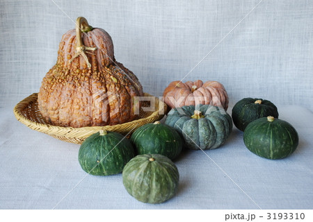 カボチャオンパレード カボチャオンパレード 3193310