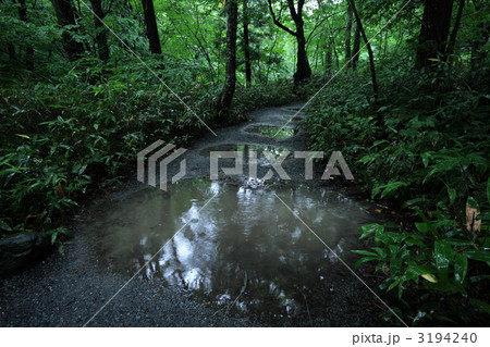 水溜り 3194240
