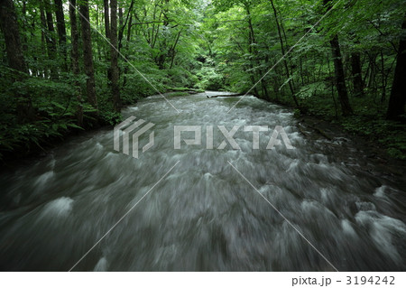 奥入瀬渓流 3194242
