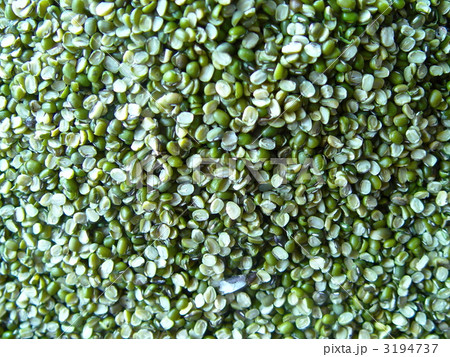 緑豆（ハノイ／ベトナム） 3194737