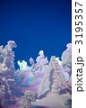 ライトアップされた樹氷 3195357