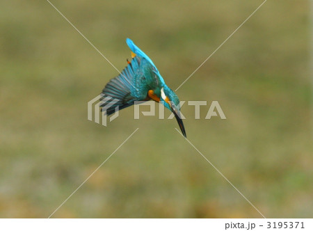 ホバリングから降下体勢へ 3195371