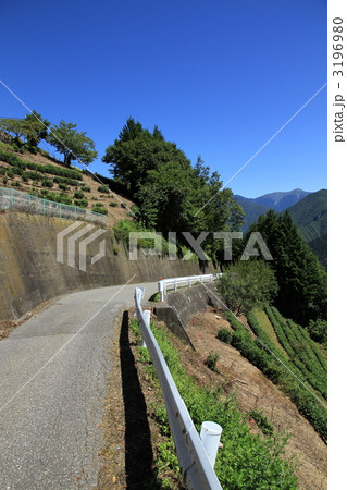 「下栗の里」急斜面の畑 「下栗の里」急斜面の畑 3196980