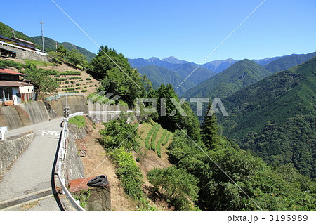 「下栗の里」急斜面の民家と畑 「下栗の里」急斜面の民家と畑 3196989