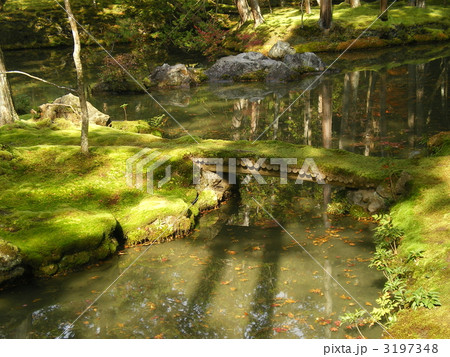 黄金池の橋 3197348