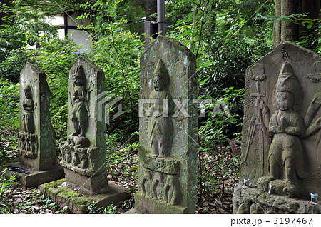 九品仏浄真寺　石仏 3197467