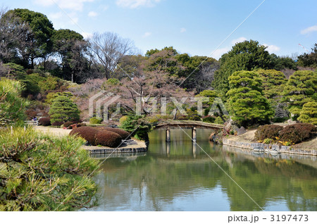 六義園　田鶴橋 3197473