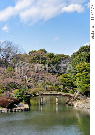 六義園　田鶴橋 3197477