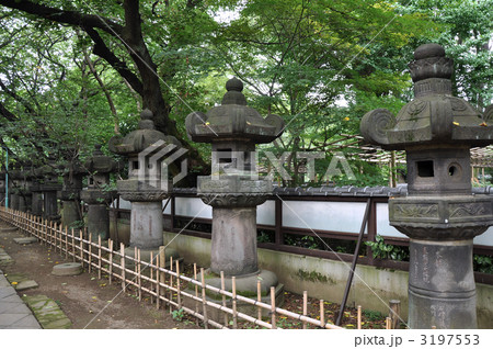 上野東照宮　石燈篭 3197553