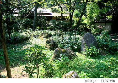 鎌倉最奥の地にある瑞泉寺を訪れて 3197940