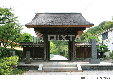 鎌倉の龍宝寺を訪れて 鎌倉の龍宝寺を訪れて 3197953