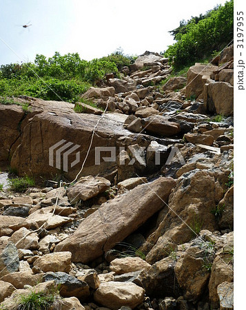 尾瀬国立公園　至仏山 3197955