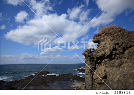 北海道　道南　親子熊岩 3198318