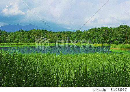 弁天沼 3198847