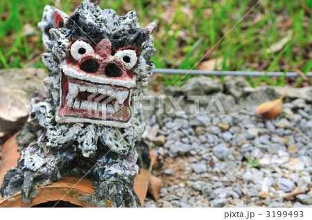 シーサー 3199493