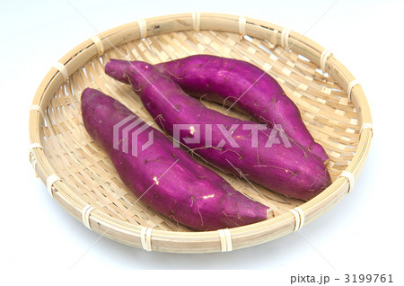 竹ザルに載せた3本のさつま芋 3199761