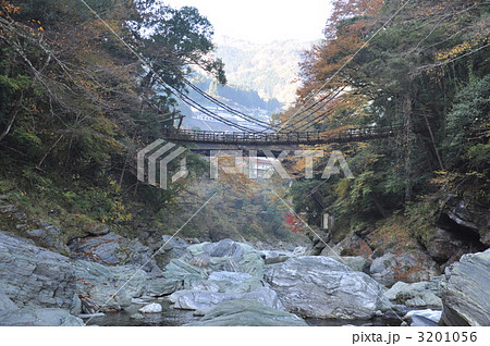 祖谷のかずら橋 祖谷のかずら橋 3201056