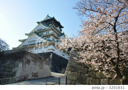 山里丸から大阪城天守を見上げる 3201631