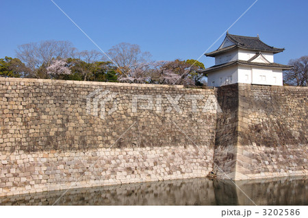 六番櫓と石垣 3202586