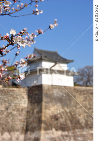 櫓と桜 3202592
