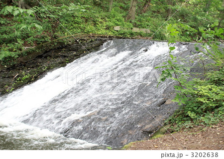 北海道の西岡公園を流れる月寒川上流 3202638
