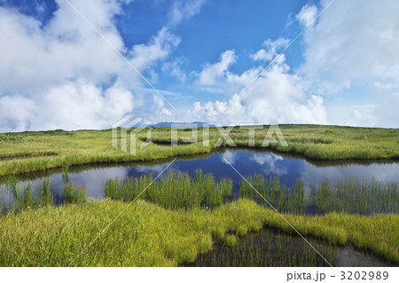 月山　弥陀ヶ原 3202989