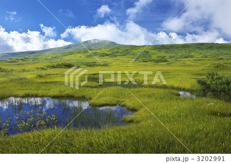 月山　弥陀ヶ原 3202991