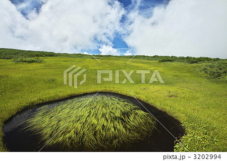 月山 弥陀ヶ原 月山 弥陀ヶ原 3202994