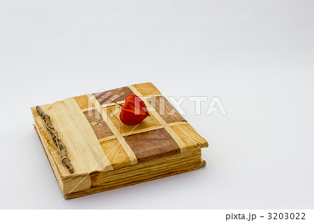 レトロなアルバム 3203022