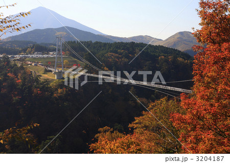 九重夢大吊橋の秋 九重夢大吊橋の秋 3204187